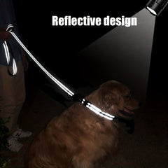 Taglory Reflective Dog Leash with Padded Handle - Medium & Small Dogs