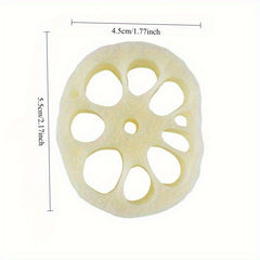 5pcs Realistic Artificial Lotus Root Slices Home Decor Photography Props