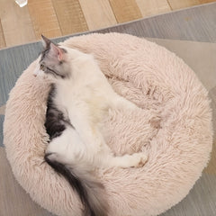 Cozy Round Pet Bed with Warming Mat & Removable Pillow