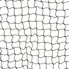 Outdoor Sports Badminton Net for Indoor/Outdoor Court