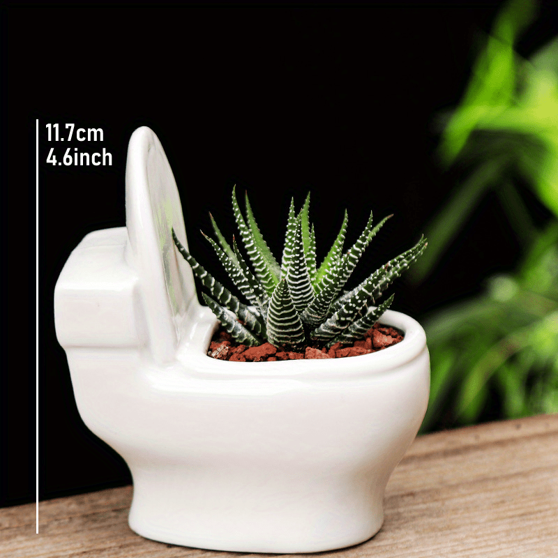 Decorative Ceramic Flower Pot for Succulents and Bonsai Trees