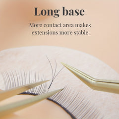 3D W Shape Blooming Lashes Premade Fans Cluster Eyelash Extensions