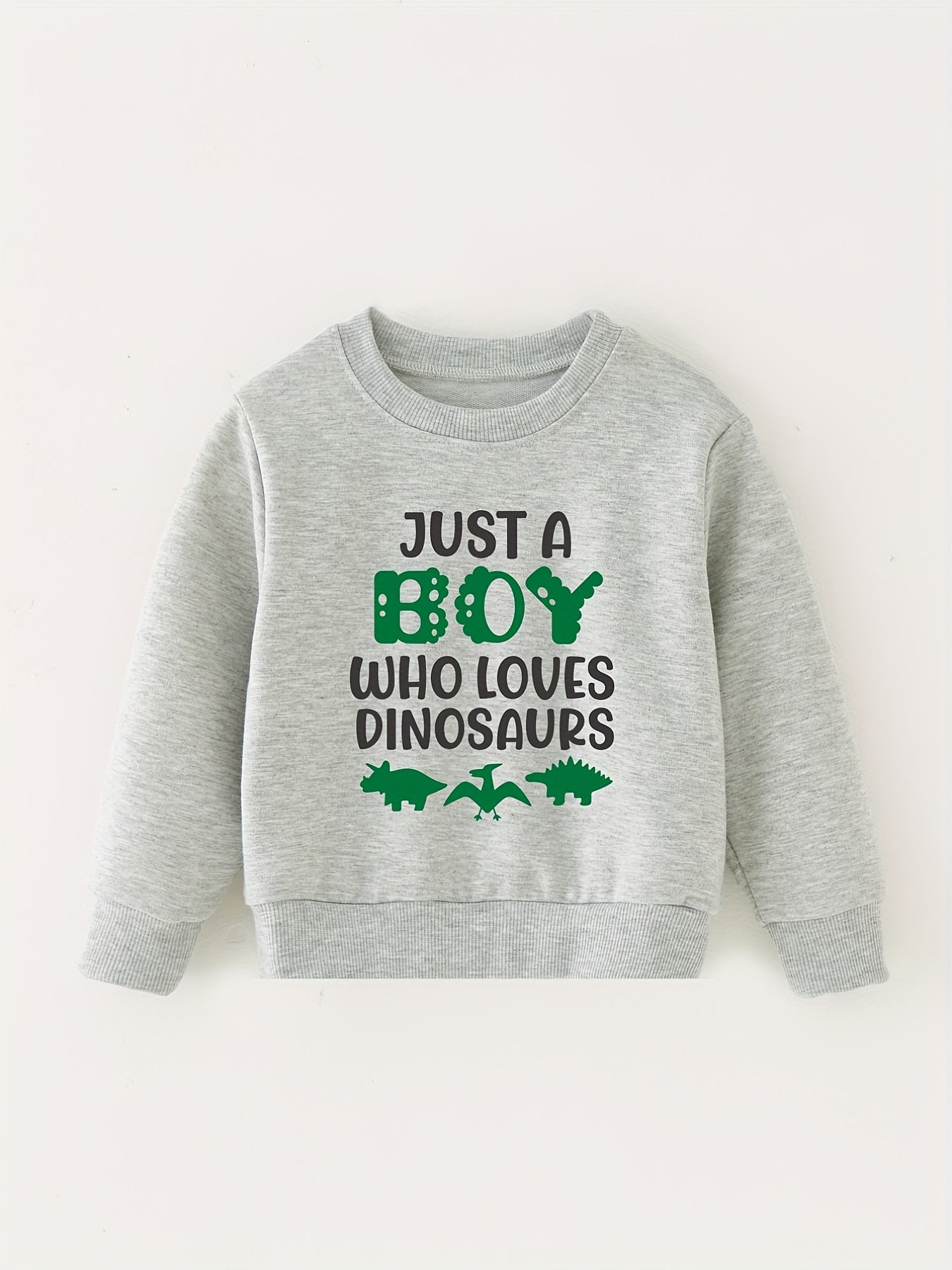 Dinosaur Lover Kids Sweatshirt