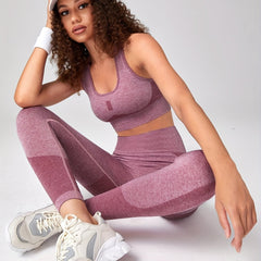 Women's Seamless Yoga Fitness Set Sleeveless Cropped Top & Leggings