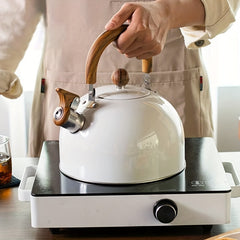 2.5L Stainless Steel Whistling Kettle Universal Kettle