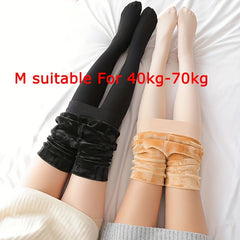 2 Pack Plush Lined Tights High Waist Thermal Leggings Women's Stockings