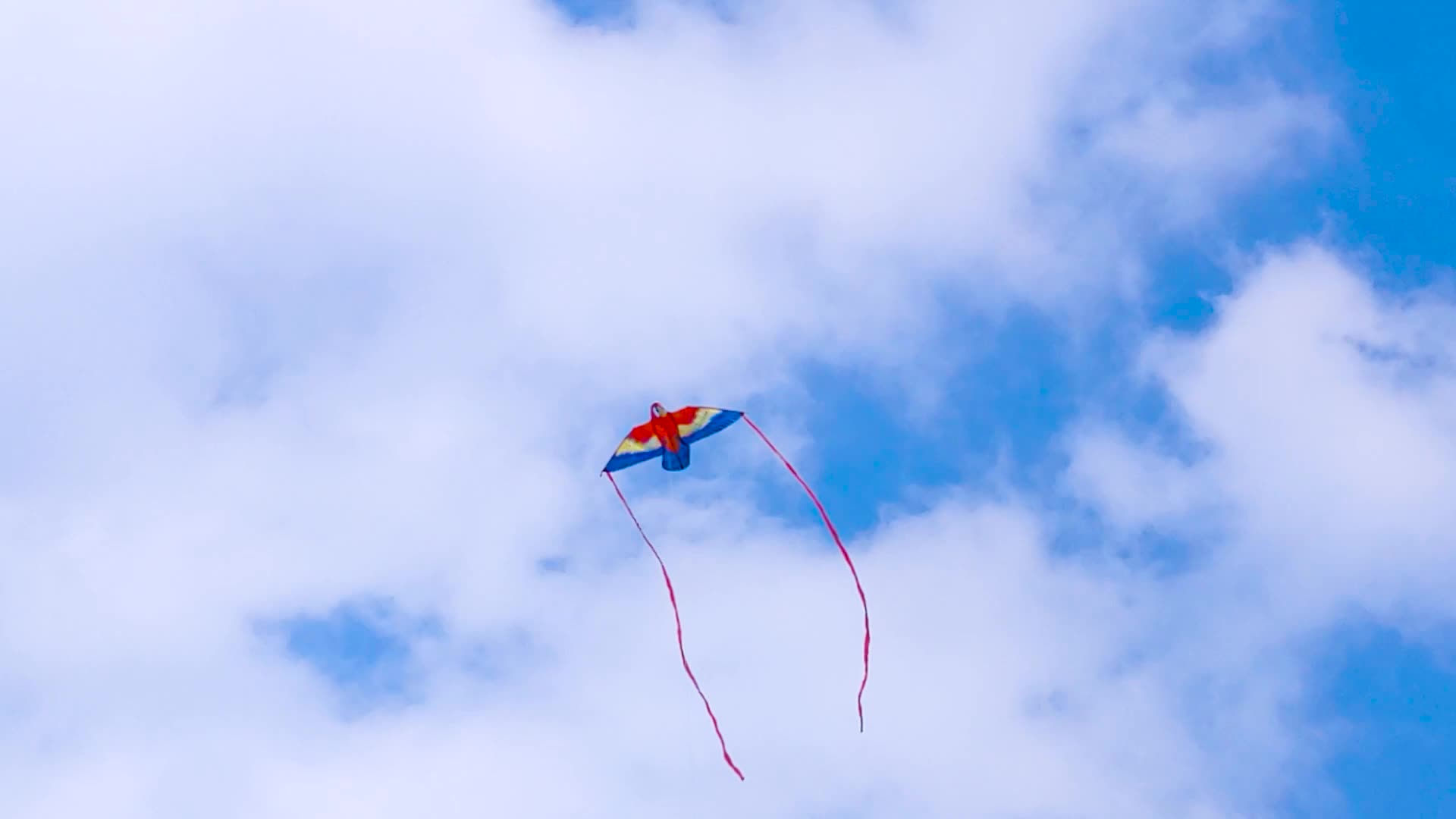 Parrot Kites Cartoon Kites Easy To Fly Outdoors