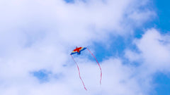 Parrot Kites Cartoon Kites Easy To Fly Outdoors