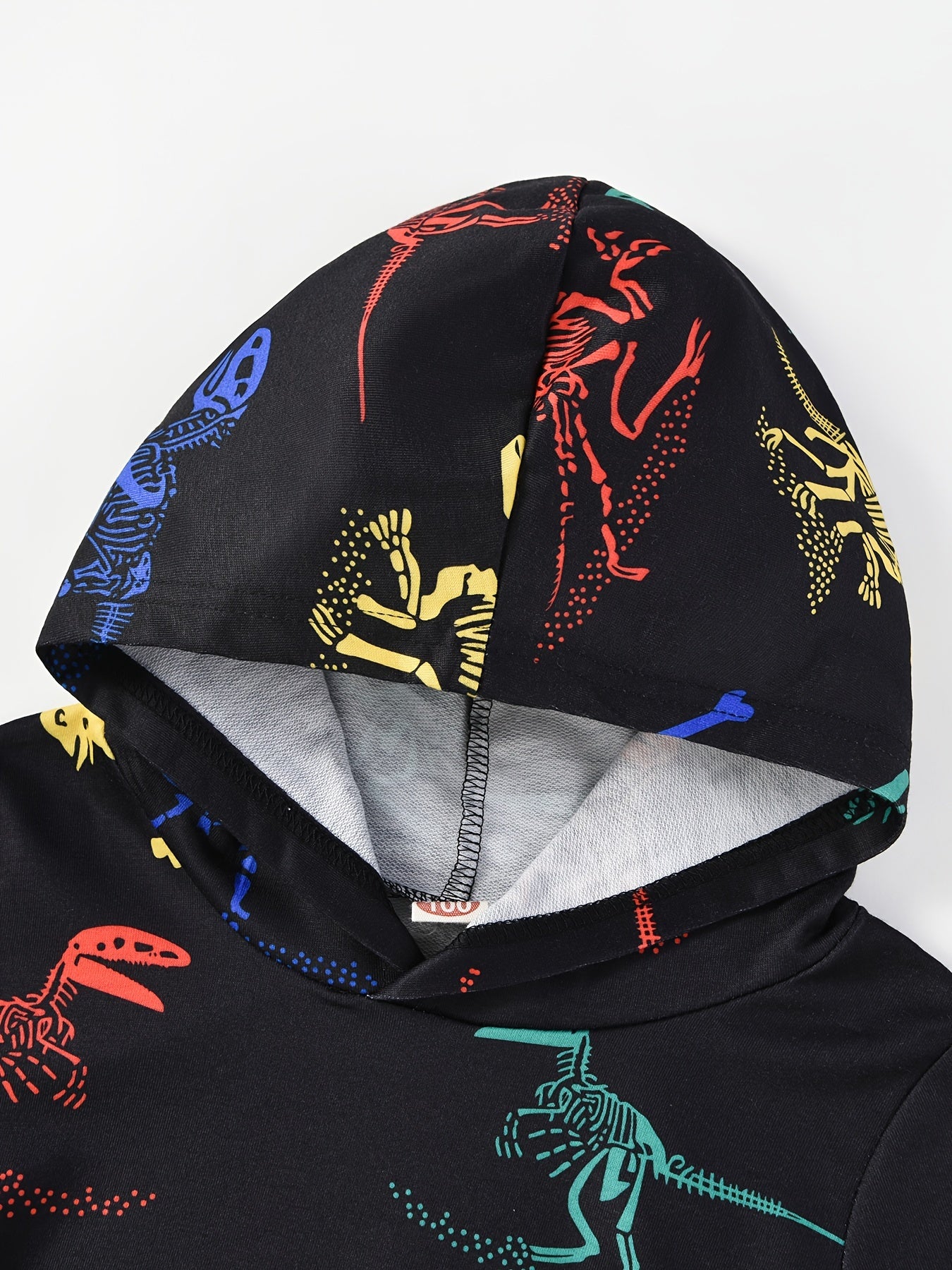 Boys Dinosaur Print Hooded Sweatshirt for Fall