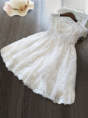 Toddler Girls Mesh Princess Dress Ruffle Trim Back Bow Flowers Embroidery