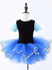 Girls Floral Embroidery Tulle Tutu Mesh Puff Sleeve Princess Ballet Dance Dress