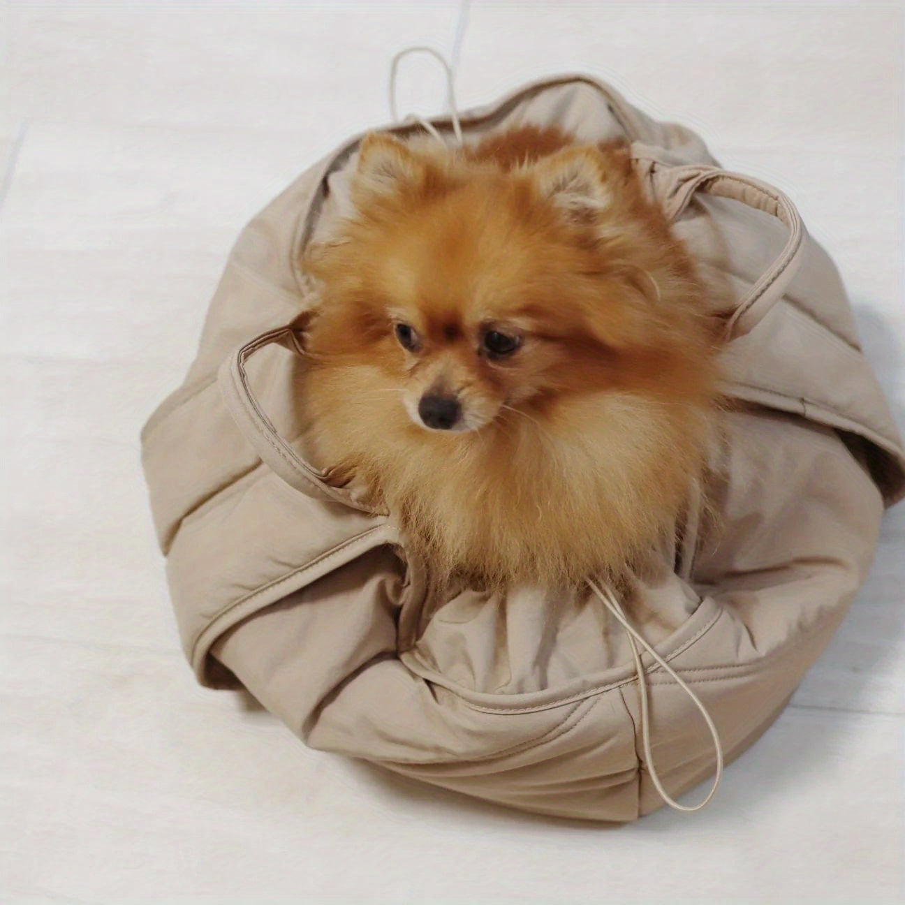 Portable Collapsible Dog Carrier for Small and Medium Dogs