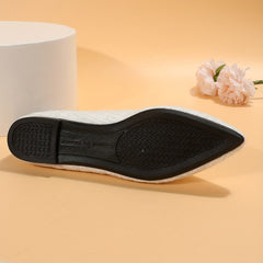Women's Pointed Toe Ballet Flats Soft Sole Slip On Shoes