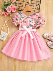 Toddler Girls Floral Princess Dress with Ruffle Trim and Belt