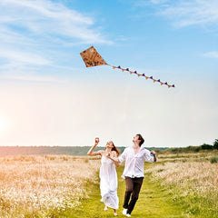 Halloween Cartoon Pattern Kite for Outdoor Fun