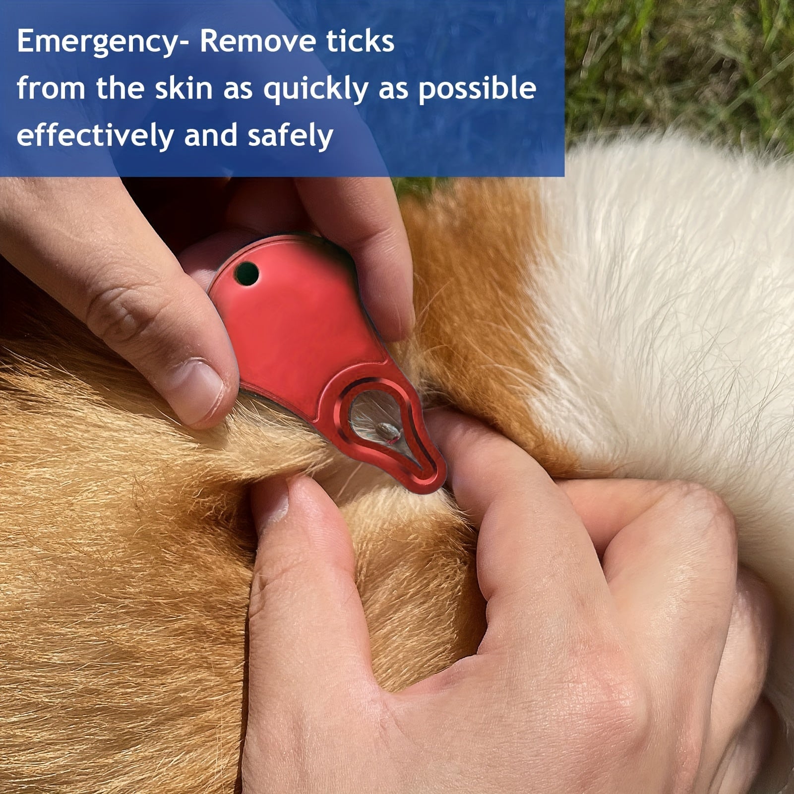Tick Removal Tool Waist Pendant Key Accessory for Pets and Humans