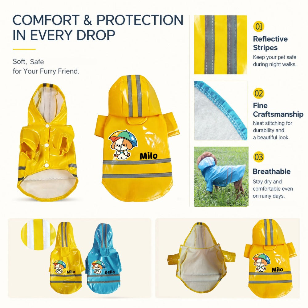 img_5807368
