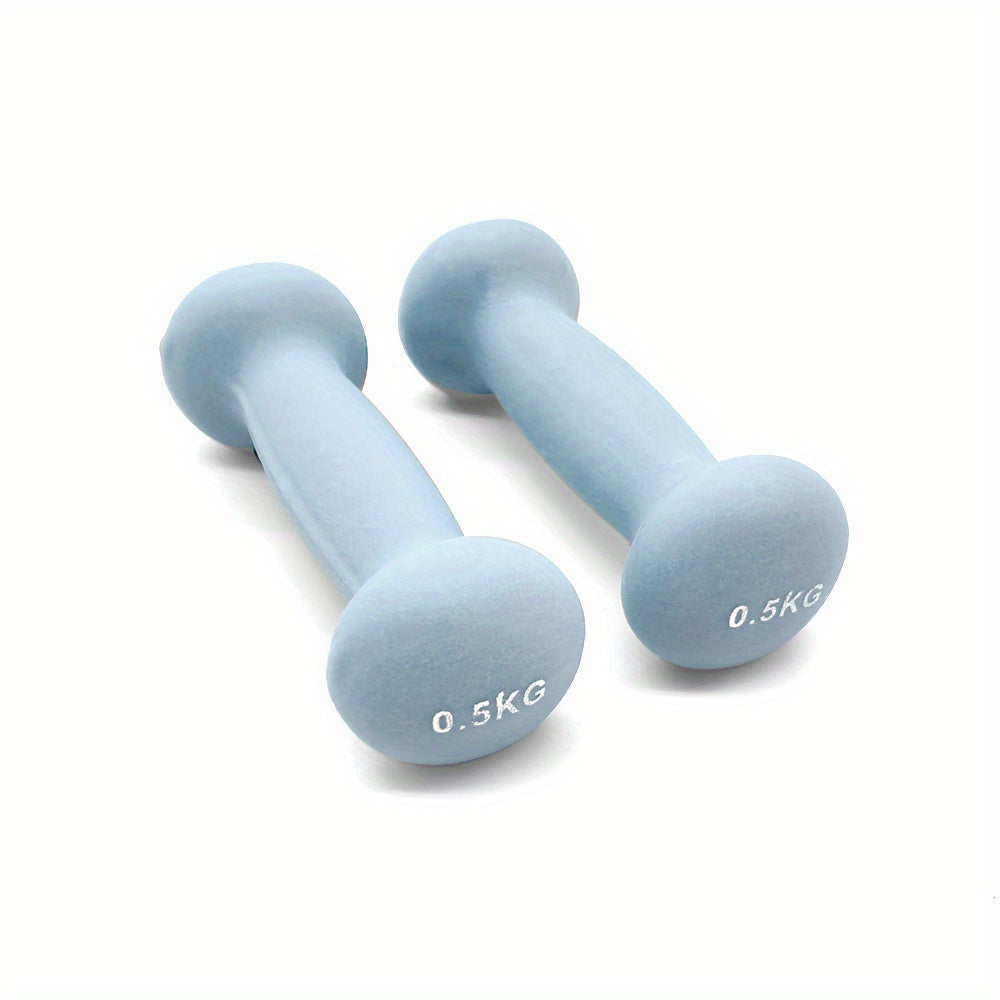 Pair of Solid Iron Dumbbells for Strength Training
