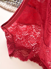 3pcs Lace Panel Bikini & High Waist Panties Set