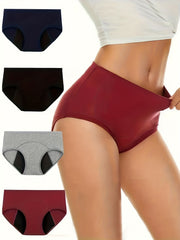 4 Pack Plus Size Leakproof Period Underwear Set
