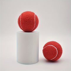 2pcs High Elasticity Tennis Balls for Beginners