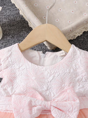 Girls Princess Dress Baby Girls Floral Graphic Mesh Puffy Casual