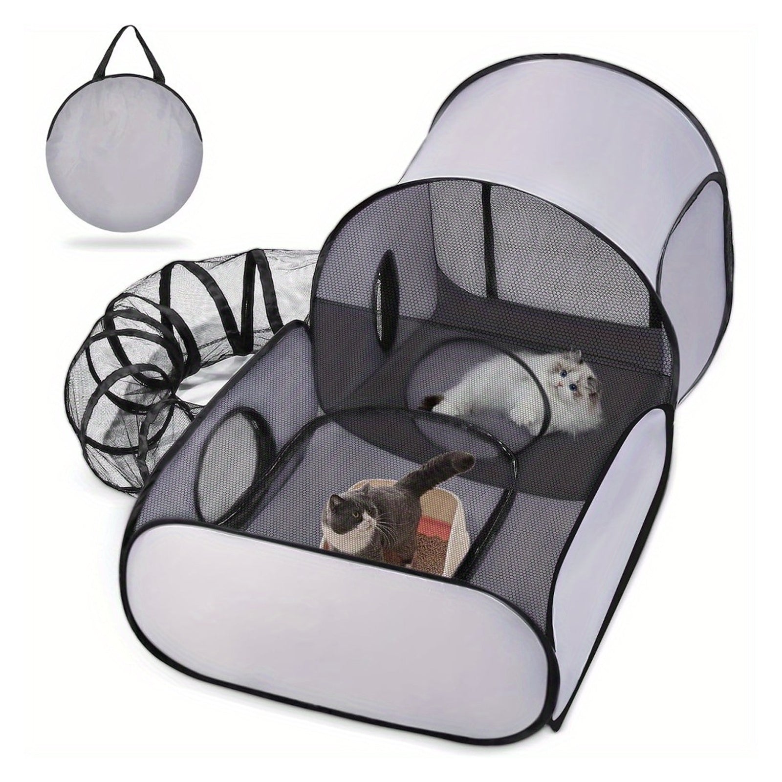 img_5308853