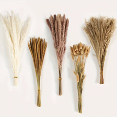100pcs Dried Pampas Grass Decor for Boho Weddings
