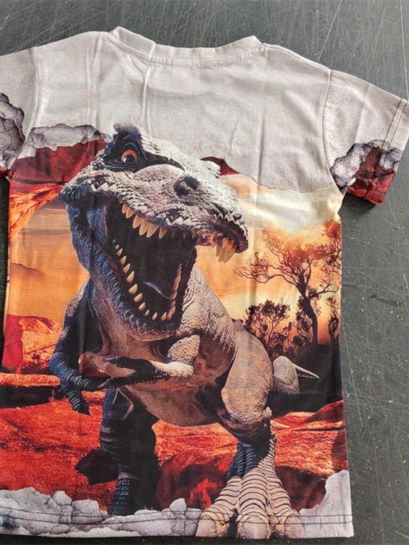 Boys Dinosaur T Shirt 3D Print Stretchy Fabric