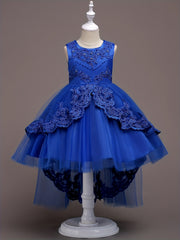 Girls Puffy Princess Dress Sleeveless Beaded Flowers Embroidery Tulle Lace Tutu