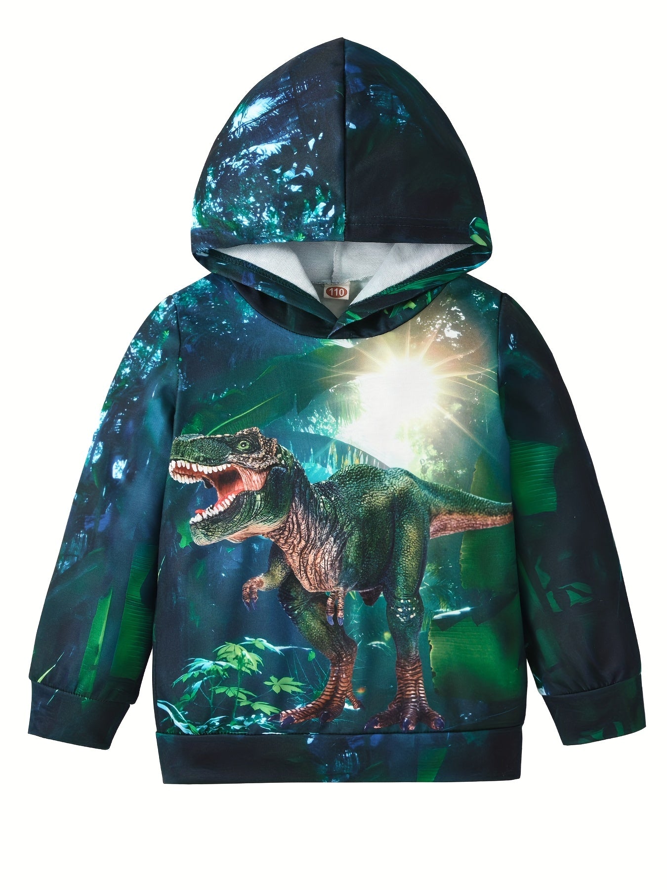 Dinosaur 3D Print Boys Hooded Sweatshirt For Spring Fall Kids Hoodie