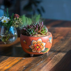 Hand Painted Yanxi Flowerpots Creative & Breathable