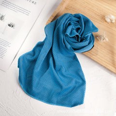 Absorbent Cooling Towel for Fitness Outdoor Sports 29 97 80cm
