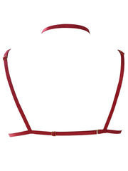 Sexy Red Lace Floral Embroidered Harness Bra for Women's Lingerie
