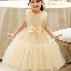 Princess Dress Sleeveless Bow Mesh Puffy Skirt Girls Gown Dress