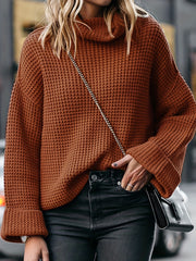 Solid Long Sleeve Turtleneck Sweater