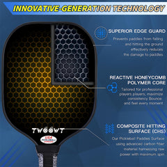 2-Pack Fiberglass Pickleball Paddles with Bags and 4 Balls Set