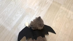 Halloween Bat Wings Pet Costume for Small Medium Dogs & Cats