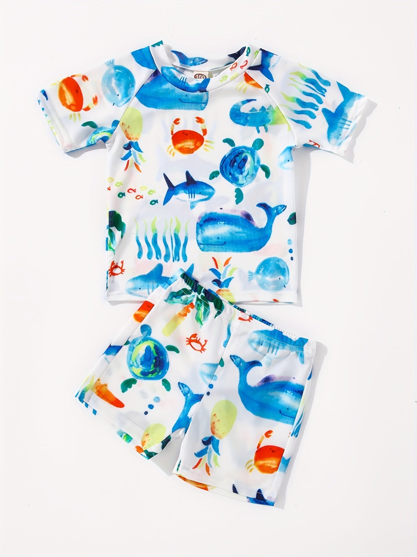 Boys Cartoon Whale Crab Sea Turtle Print Swimwear Set