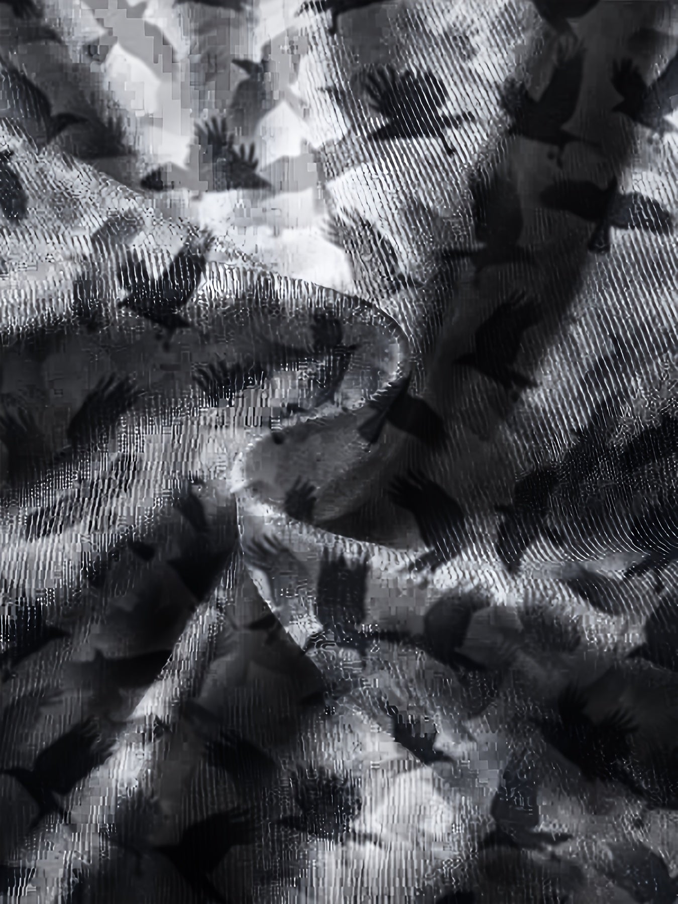 Flying Bird Pattern Print Boys Sweatshirt Long Sleeve Pullover Top