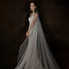 Cathedral Bridal Veil with Rhinestones Romantic Wedding Accessory