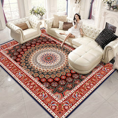 Vintage Bohemian Area Rug Large Soft Living Room Bedroom Rug