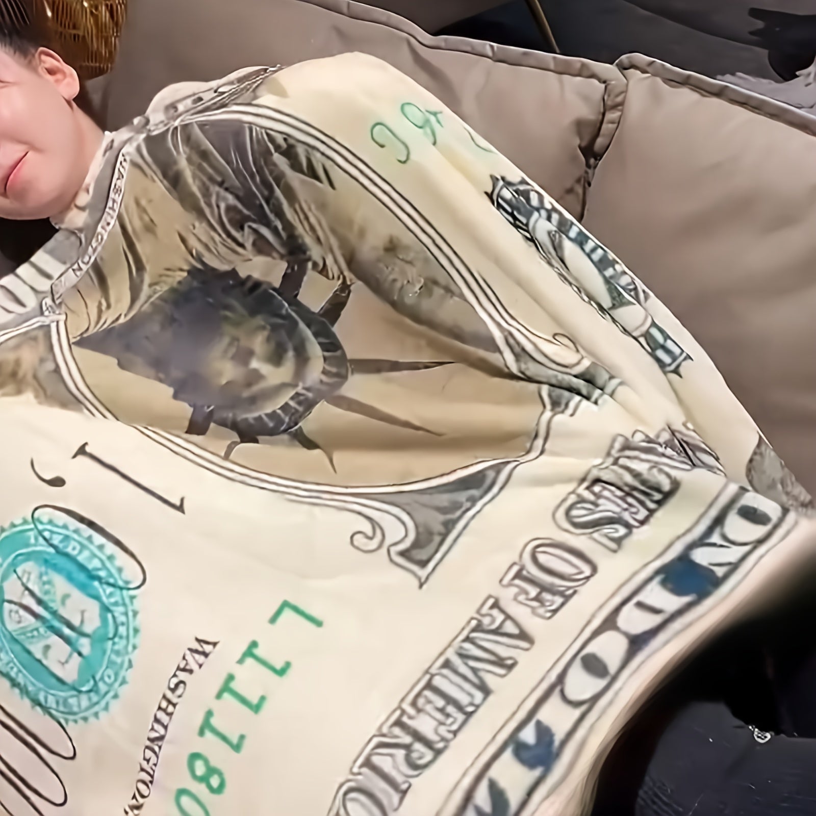 1pc One Million Of Dollars Pattern Plush Blanket