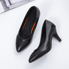 Pointed Toe Stiletto Heel Pumps