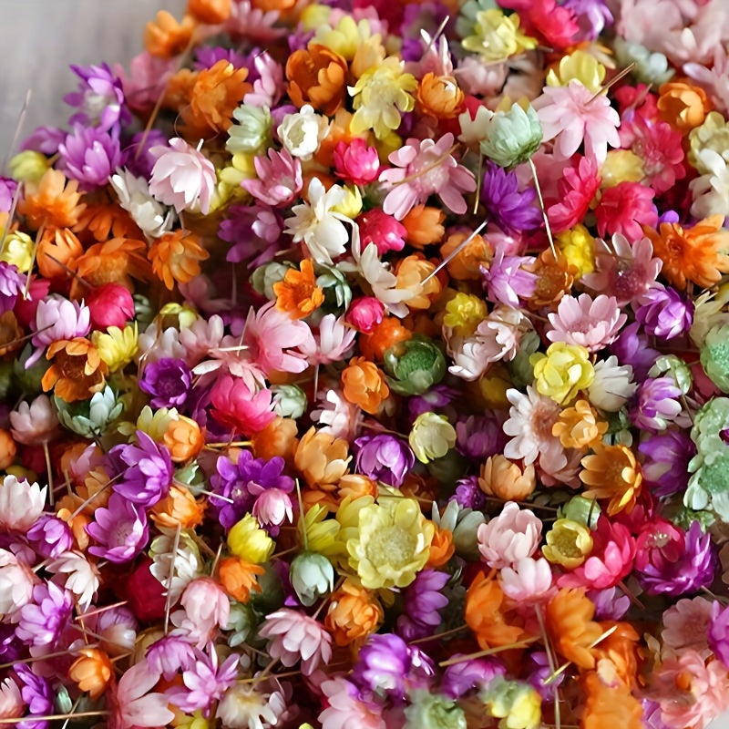 140pcs DIY Dry Flowers Handcraft Decoration Material