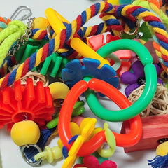 Colorful Chew Toys & Swing Perch for Parakeets Cockatiels Conures
