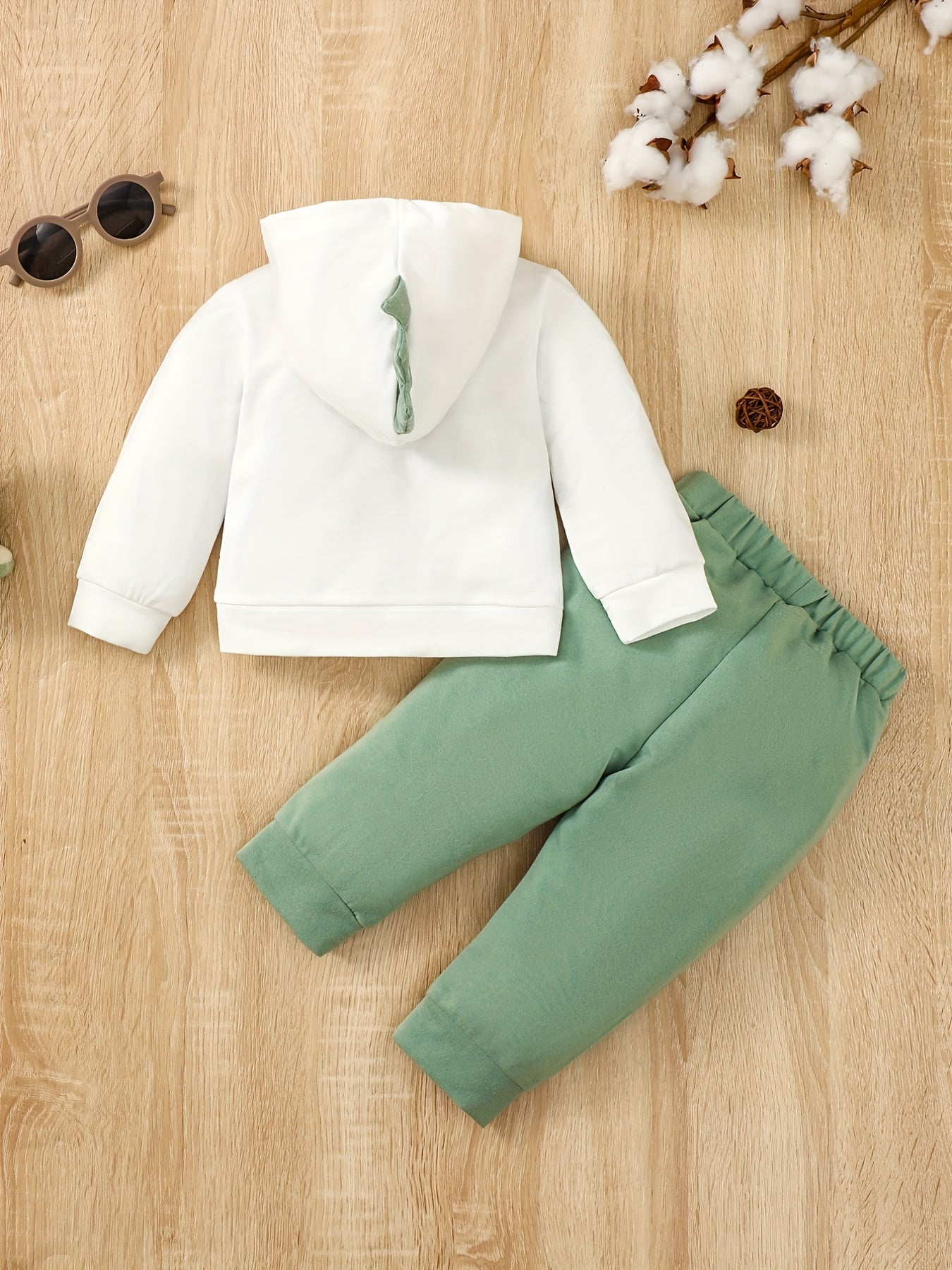 Dino Print Hooded Pullover & Pants Set Child's Casual Outfit