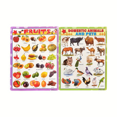 Educational Poster Charts for Kids Alphabet Fruits Vegetables Domestic & Wild An