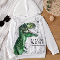 Boys Dinosaur Hoodies Long Sleeve Pullover Top Kid Outfits