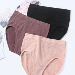 3 Pack Textured High Waisted Seamless Panties Set Plus Size Women's Underwear